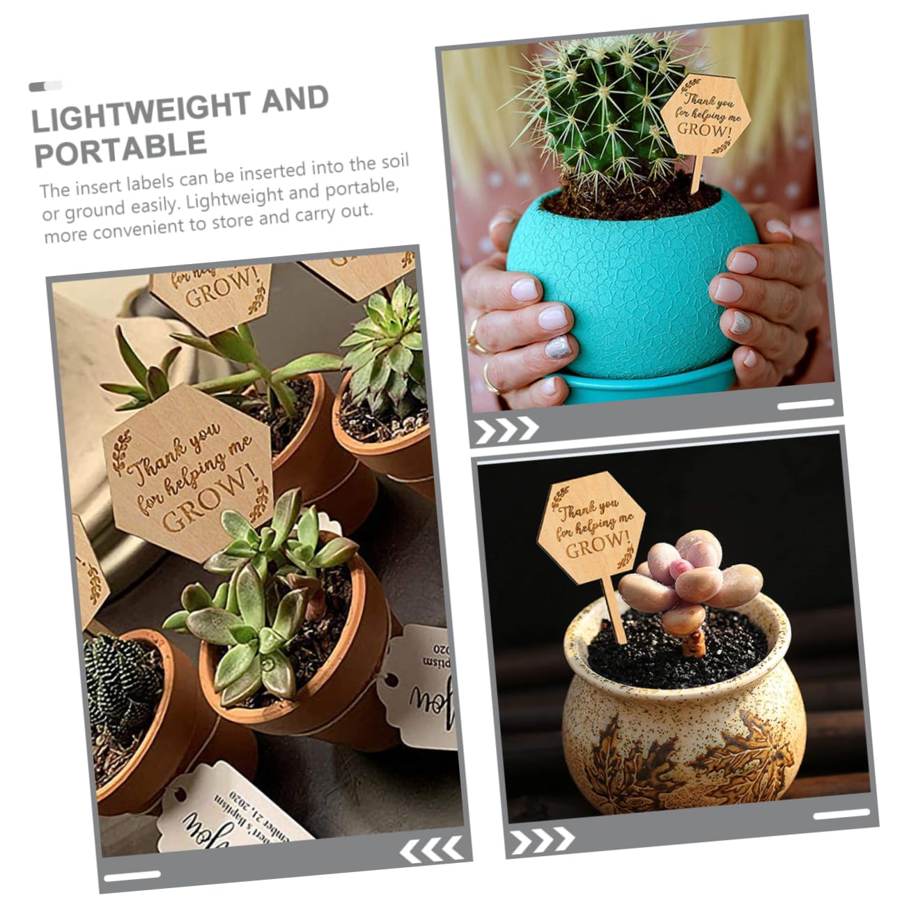 UPKOCH 4 Set Etichetta in Legno Etichette Succulente Segni Di Piante Da Giardino Etichette Da Giardino Giardinaggio Tag Del Del Vaso Etichetta Dell'orto Di Legno 40 Pezzi*4