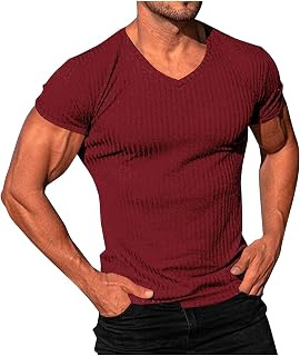 Generic Mens Short Sleeve T-Shirts V Neck Ribbed Stretch Casual Tee Lightweight Solid Basic Summer Tops Solid Slim Fit Shirts