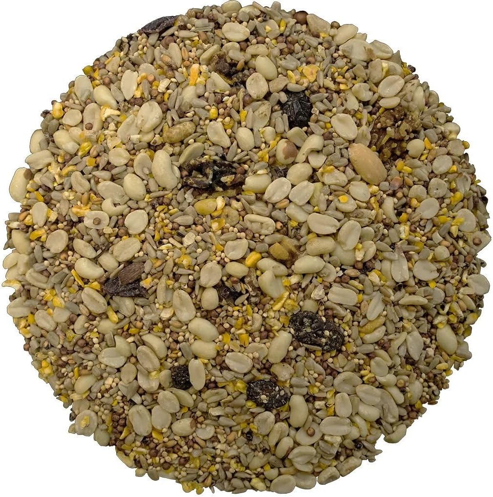 Bird Pro Classic Bird Seed (10 Pounds, Classic No Mess)