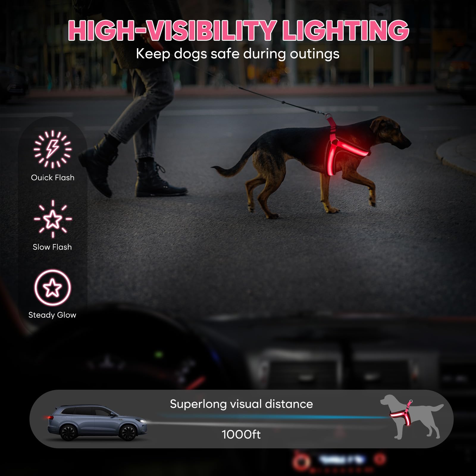 BiPawTi Light Up Dog Harness for Medium Dogs LED Light 3 Flashing Modes Glow in the Dark, USB Rechargeable Safety Pet Vest - Image 2