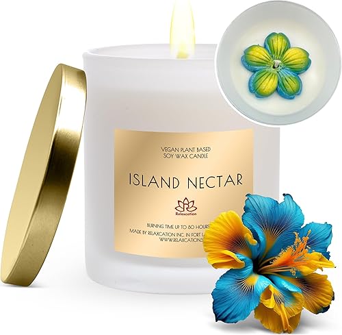 Miniatura 50 de Vela de cera de soja natural hecha en Estados Unidos en tarro de vidrio Velas de soja perfumadas de naranja brasileña de lujo Fresca y alegre