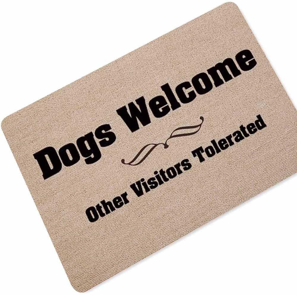 Entrance Rug Shoes Scraper Open Door Policy Welcome Doormat Front Entry