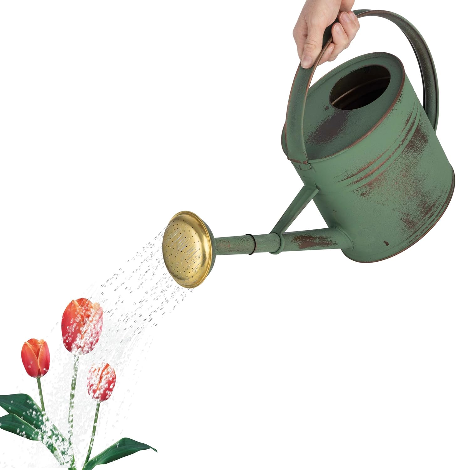 1 Gallon Plant Watering Can with Removable Spout - Copper Plated Metal Watering Can for Indoor Plants or Outdoor Garden - Vintage Garden Decor by Kings County Tools (Green)