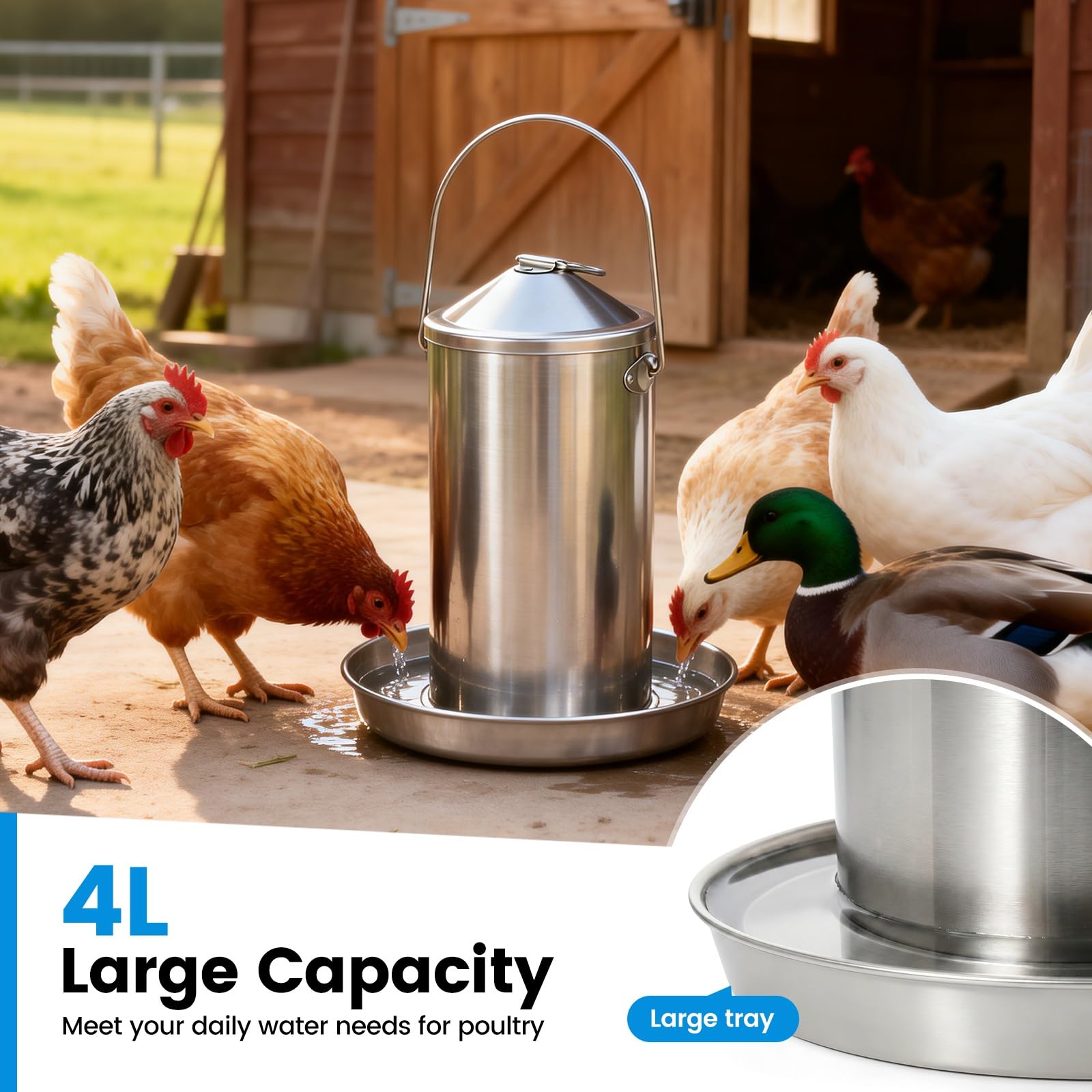 Bebedero para gallinas de acero inoxidable de 4 litros, placa calefactora compatible