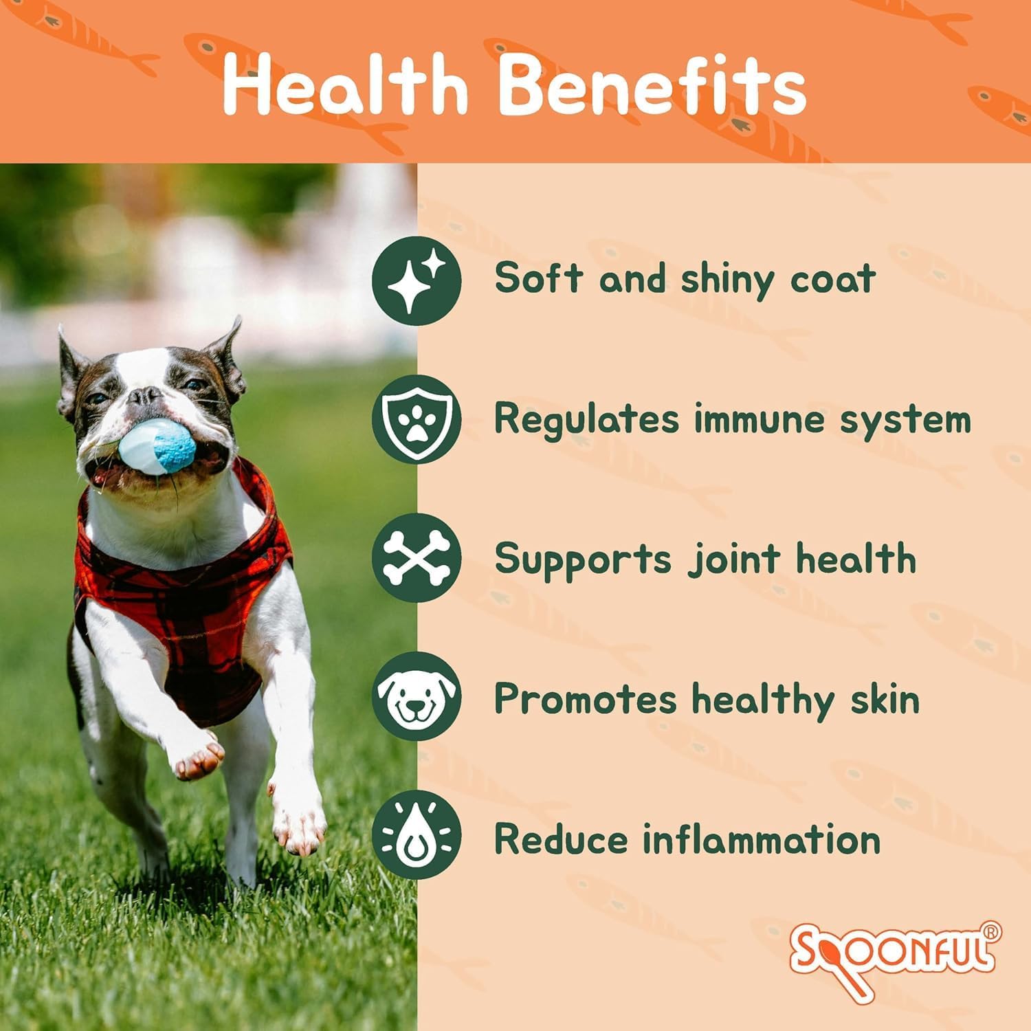 Spoonful Salmon Squeeze - 100% Natural Wild-Caught Alaskan Salmon Oil – 2,000 mg Omega-3 Softgel, 30 Squeezeable Softgels | DHA, EPA & Natural Astaxanthin, Non-GMO, Sustainable, Made in USA (30)