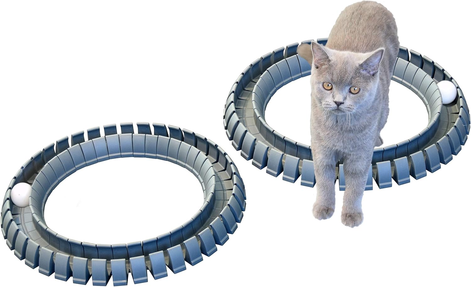 Magic Cat Track and Ball Toy for Kittens Pets Kitties Cats