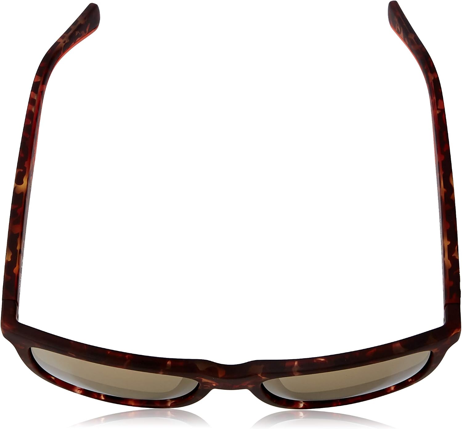Fossil FOS 2110/G/S 0Y8/HA | Authentic Best Sunglasses NZ