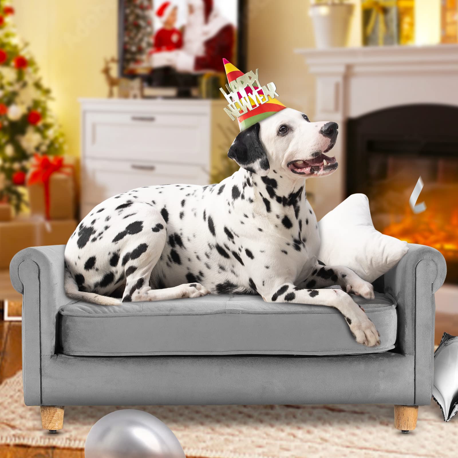 Why Does My Dog Hide Under The Couch