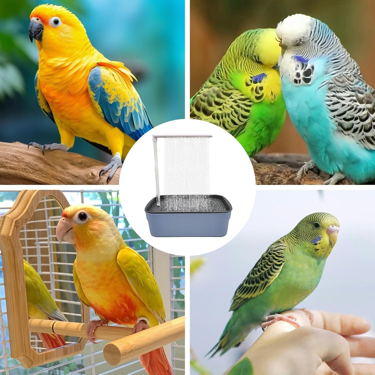 Automatic Bird Bath, Parrot Bath Tub Shower, Grooming Tub Cage Fountain, Suitable for Conures, Lovebirds, African Grey, Cockatiel, Parakeets, Pet Accessory