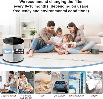FY0194/30 Replacement Filter Compatible with Philips 800 Series AC0820/AC0819/AC0830 3-in-1 True Activated Carbon Removes 99.97% of Pollutants, 2 Pack (FY0194/30)