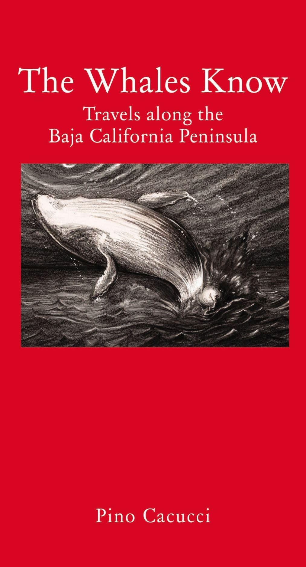 The Whales Know: A Journey Through Mexican California (Armchair Traveller)