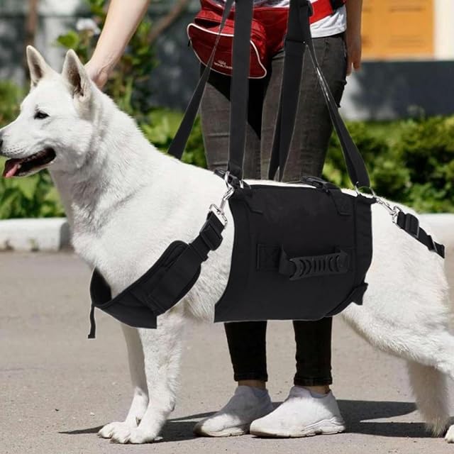 Foto 2 de 6 de YOUDING Arnés para Perro - Cinturón de Ayuda para Caminar para Perros