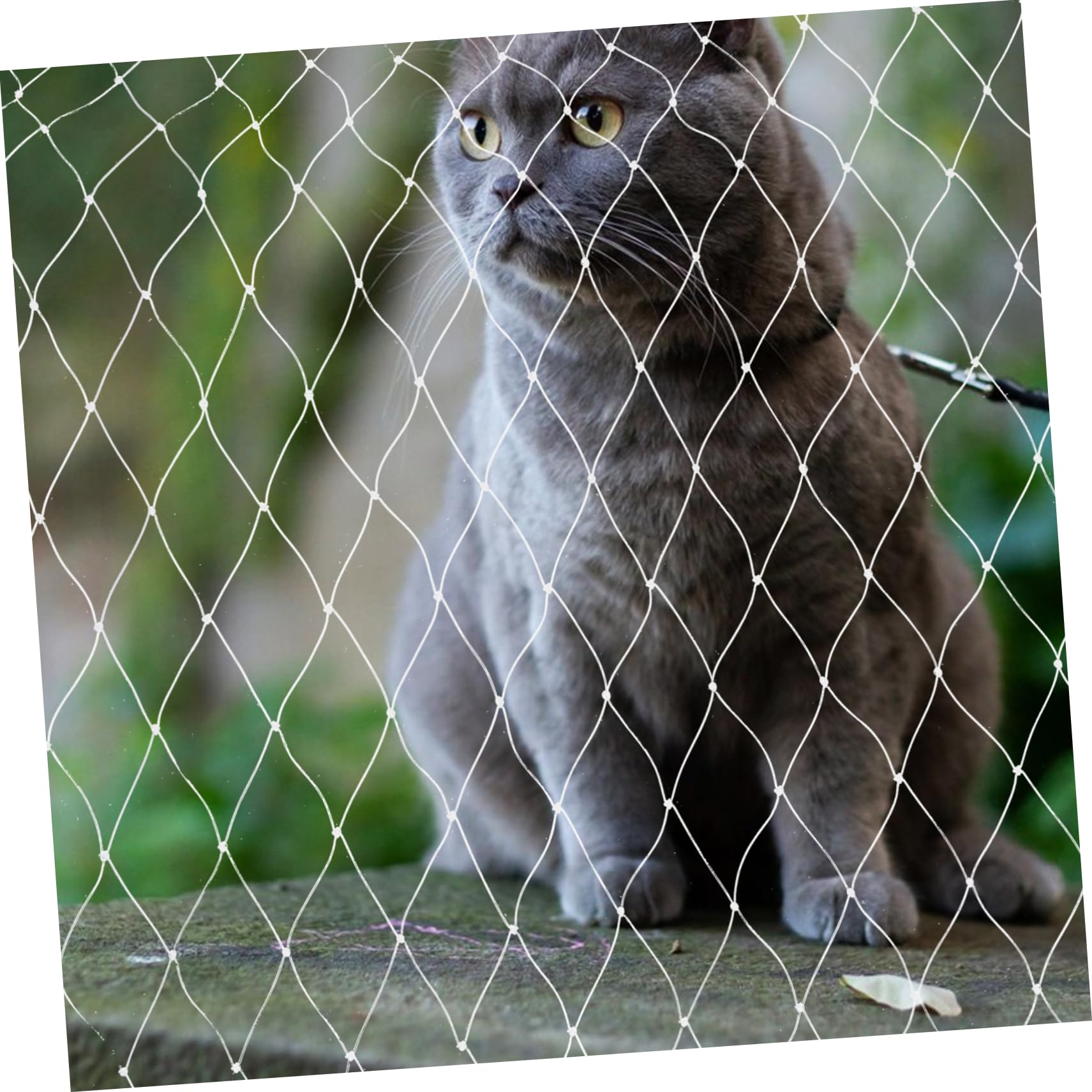 Supvox Netz Balkon Katze ohne Bohren Katzenbalkonnetz aus Nylon Anti Fall und Kratzfest für Balkon und Fenster
