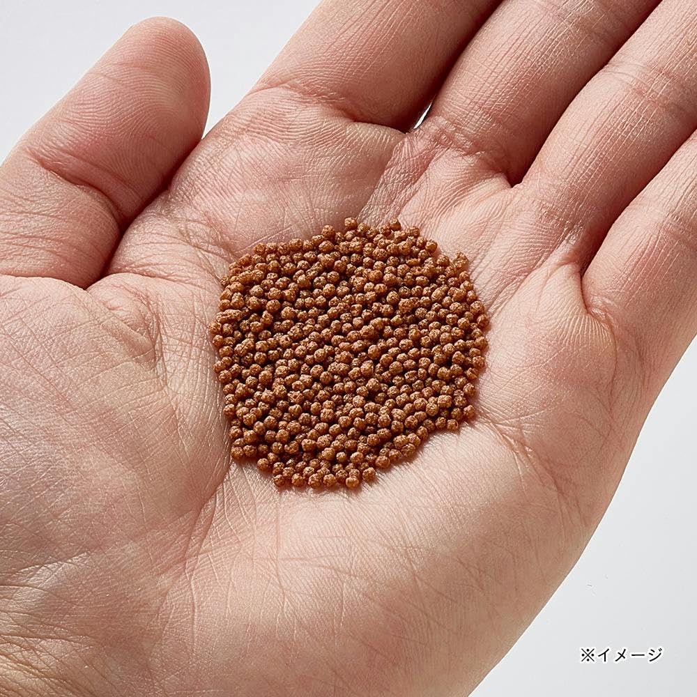 Amazon.co.jp: カインズ(CAINZ) 金魚のえさ 内容量40g 水 汚れにくい
