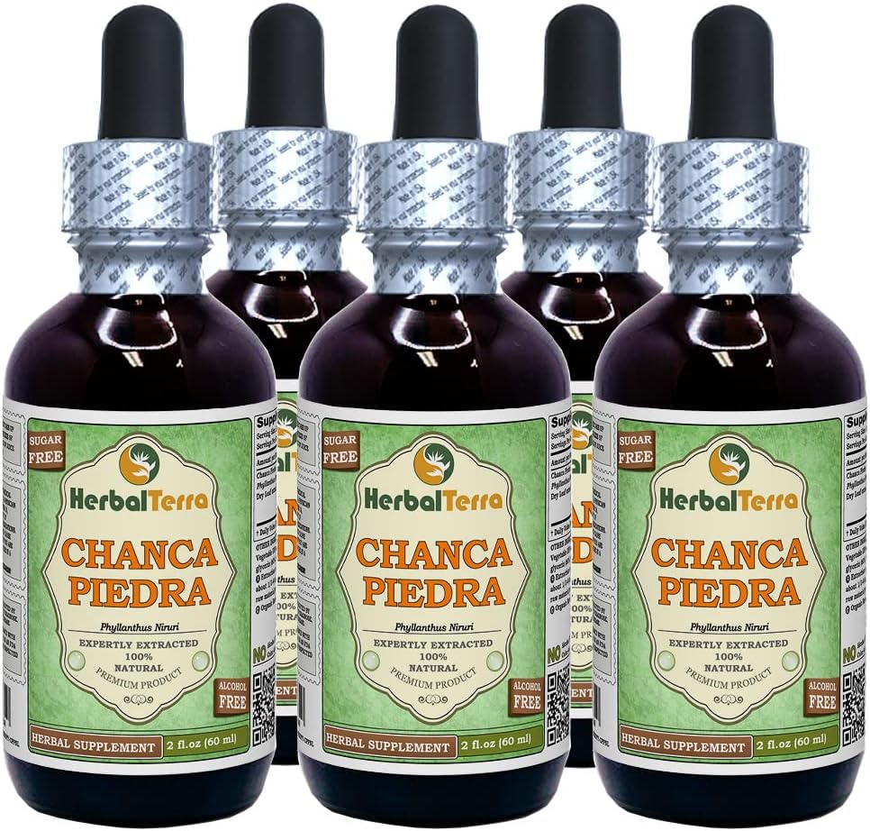 Chanca Piedra (Phyllanthus Niruri) Glycerite, Sifted Leaves Alcohol-FREE Liquid Extract (Brand name: HerbalTerra, Proudly made in USA) 2x2 fl.oz (2x60 ml)