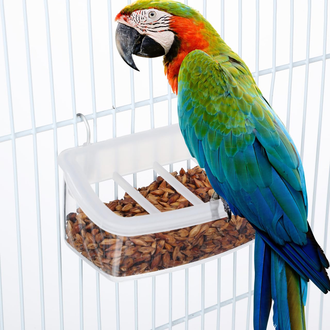 POPETPOP Bols à suspendre pour cage à oiseaux - Mangeoire à suspendre pour oiseaux - Bol d'alimentation en plastique - Distributeur d'eau - Bol de nourriture pour oiseaux - Accessoires de cage pour