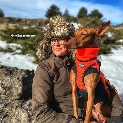 Vista 37 de Best Pet Supplies Voyager Step-in Air - Arnés de malla para todo tipo de clima, reflectante, antitirones, para perro y gato pequeño y mediano, Arnés