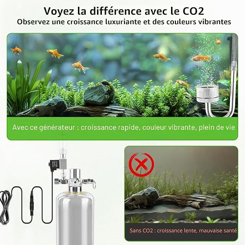 Kit CO2 Aquarium 2kg, Générateur CO2 Aquarium avec Électrovanne, Diffuseur - 4