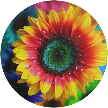 Rainbow SunflowerBath Mat Non-Slip Bathroom Rug Absorbent Shower Mats Quick Dry Floor Rugs for Door Entrance