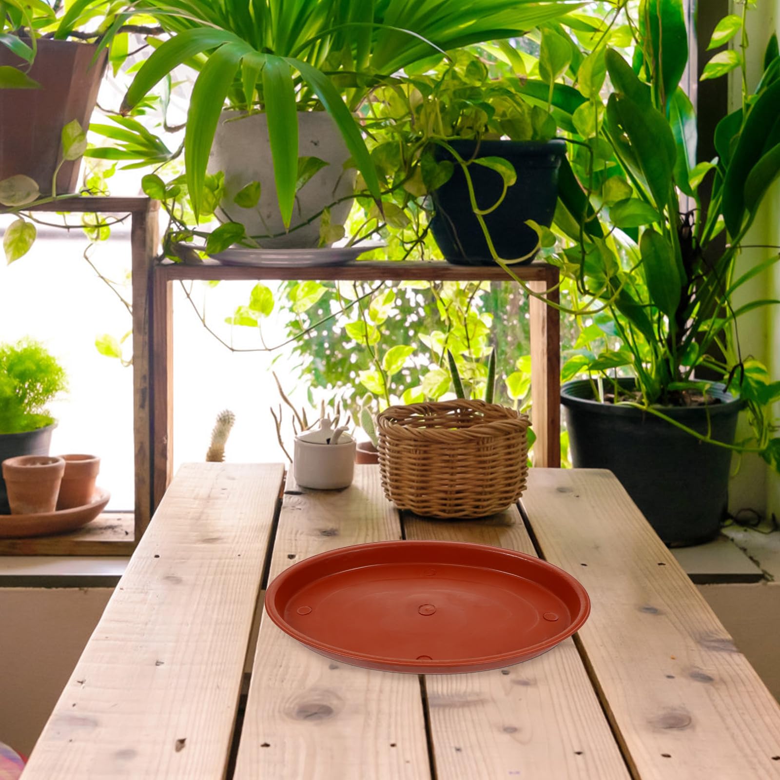 TOYANDONA Vassoi Ovali Base Resistente Previene Macchie d'Acqua e Fuoriuscite di Terra in Plastica Rossa Set 5 Pezzi per Vasi da Fiori per Piante da Interno ed Esterno