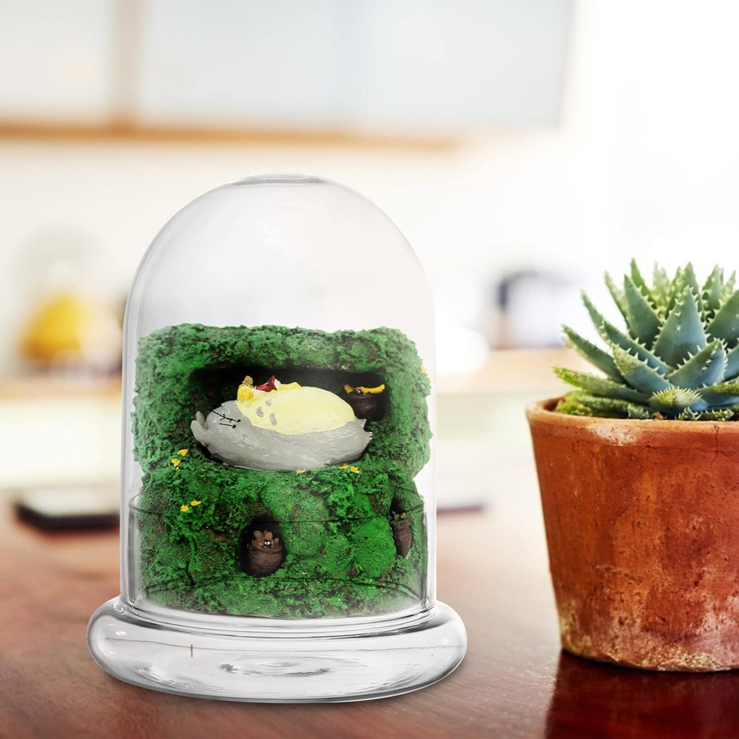moss terrarium jar clear glass cloche showing miniature plants
