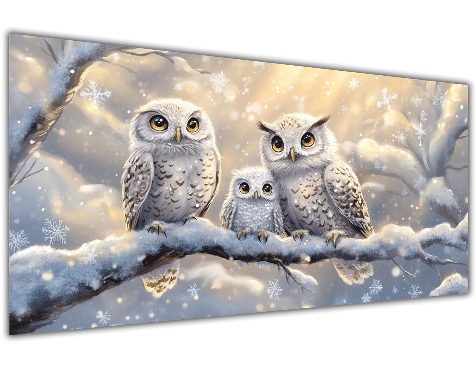 DIY Paint by Numbers フクロウ数字油絵夢簡単大人初心者子供用