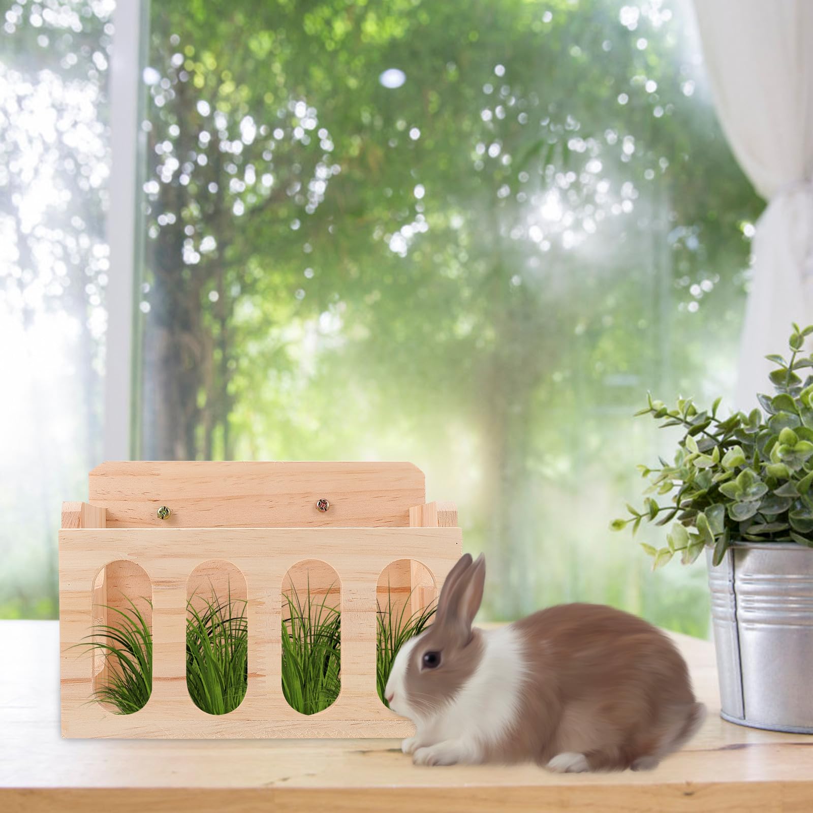 GALPADA Mangiatoia per Conigli e Porcellini D'india in Legno, Facile da Installare e Mantiene Cibo Pulito, Adatta per Gabbie di Piccoli Animali Domestici