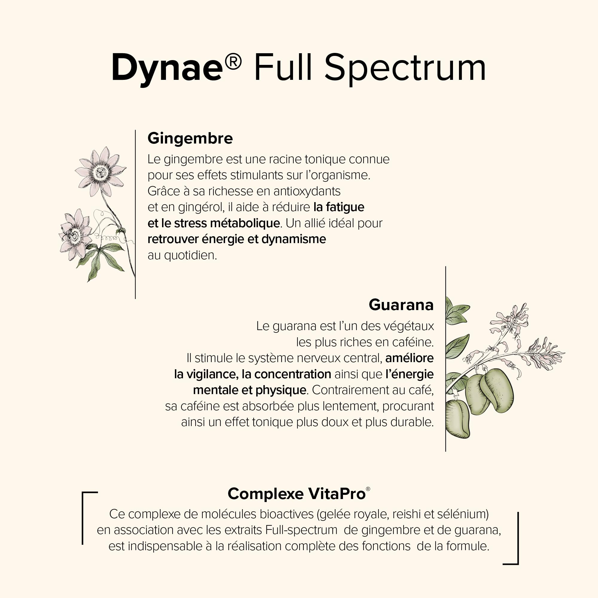 A-Lab DYNAE Full Spectrum - Booster Energie Physique & Mentale - Gingembre, Guarana, Gelee Royale, Reishi, Selenium - Format Liquide - 2ml Par Jour