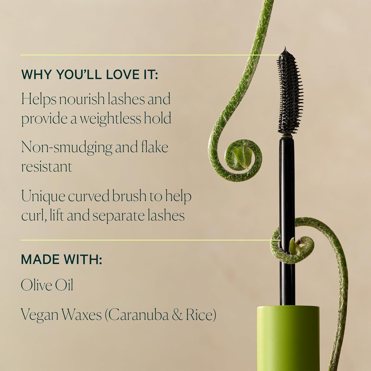 Well People Expressionist Curling Mascara, Curved Brush and Weightless Formula Lift, Separate and Nourish Lashes with Olive and Jojoba Oils, Smudge-Resistant, Clump- and Flake-Free, Black - Image 3