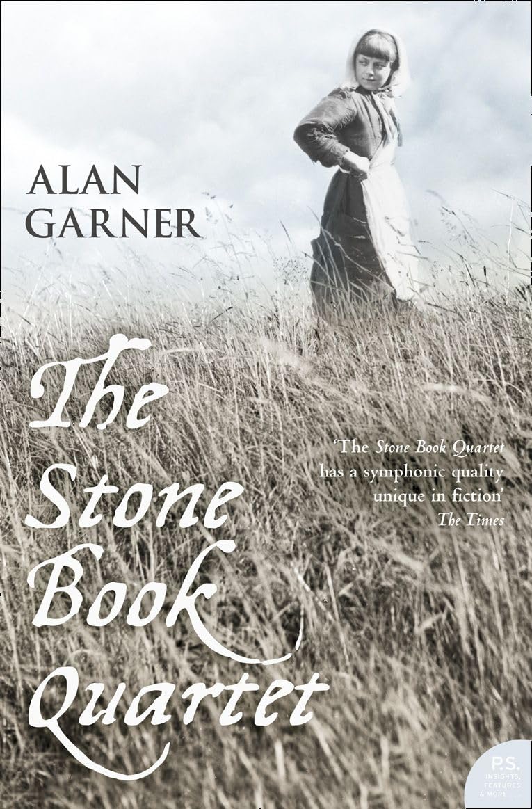 Stone Book Quartet: From the author of the 2022 Booker Shortlisted Treacle Walker (Harper Perennial Modern Classics)