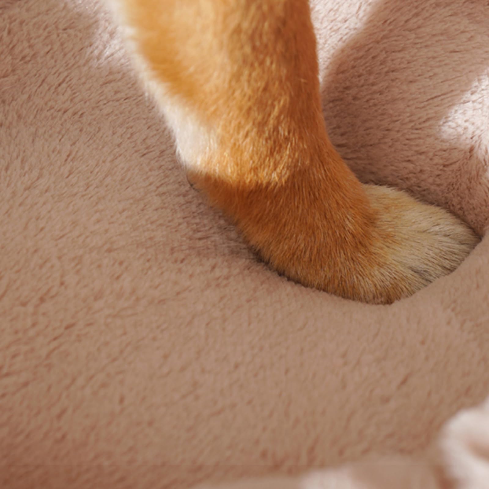Cuccia for Gatti Cuccia Gatto Letto for Cani Rotondo Ciambella Morbido Peluche Tondo for Animali Domestici Gatto Morbido Lettino(Green,XL 90 * 90 * 23CM)