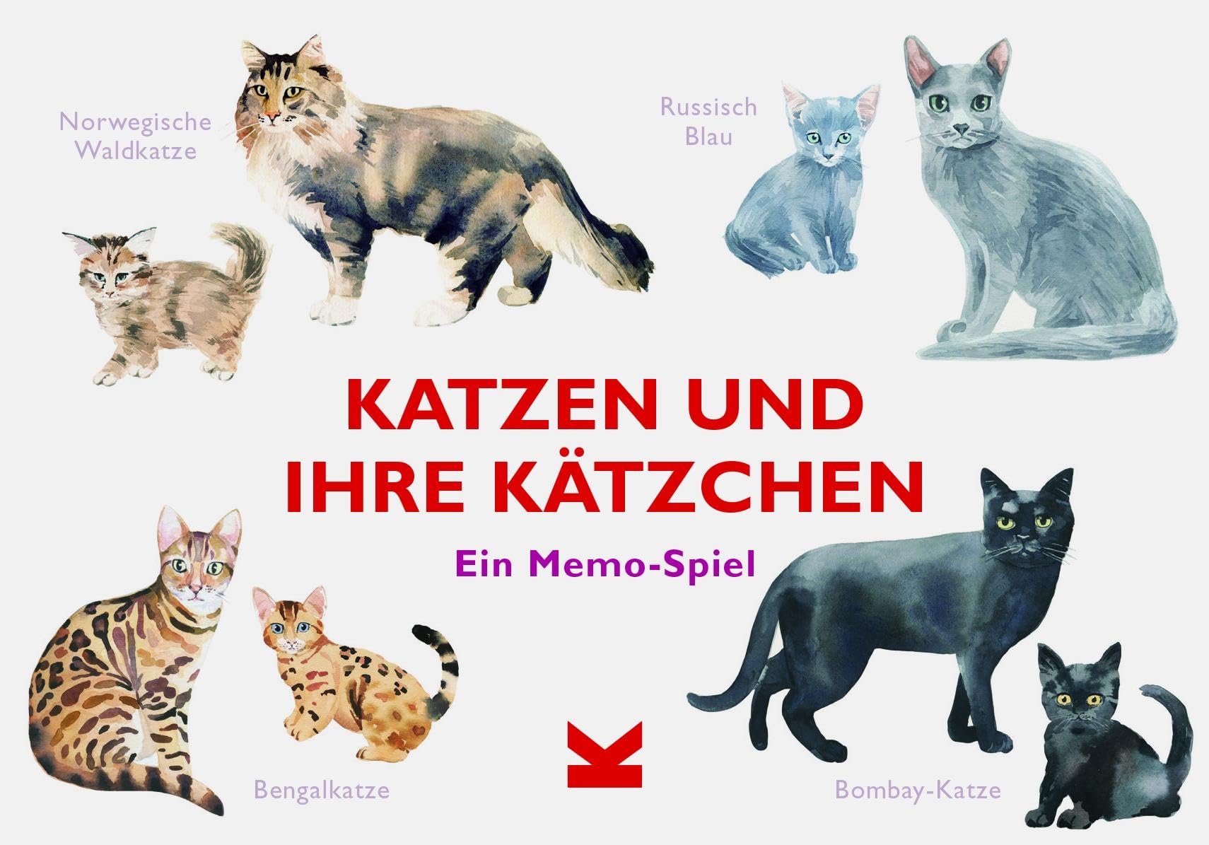Katzen und ihre Kätzchen: Ein Memo-Spiel