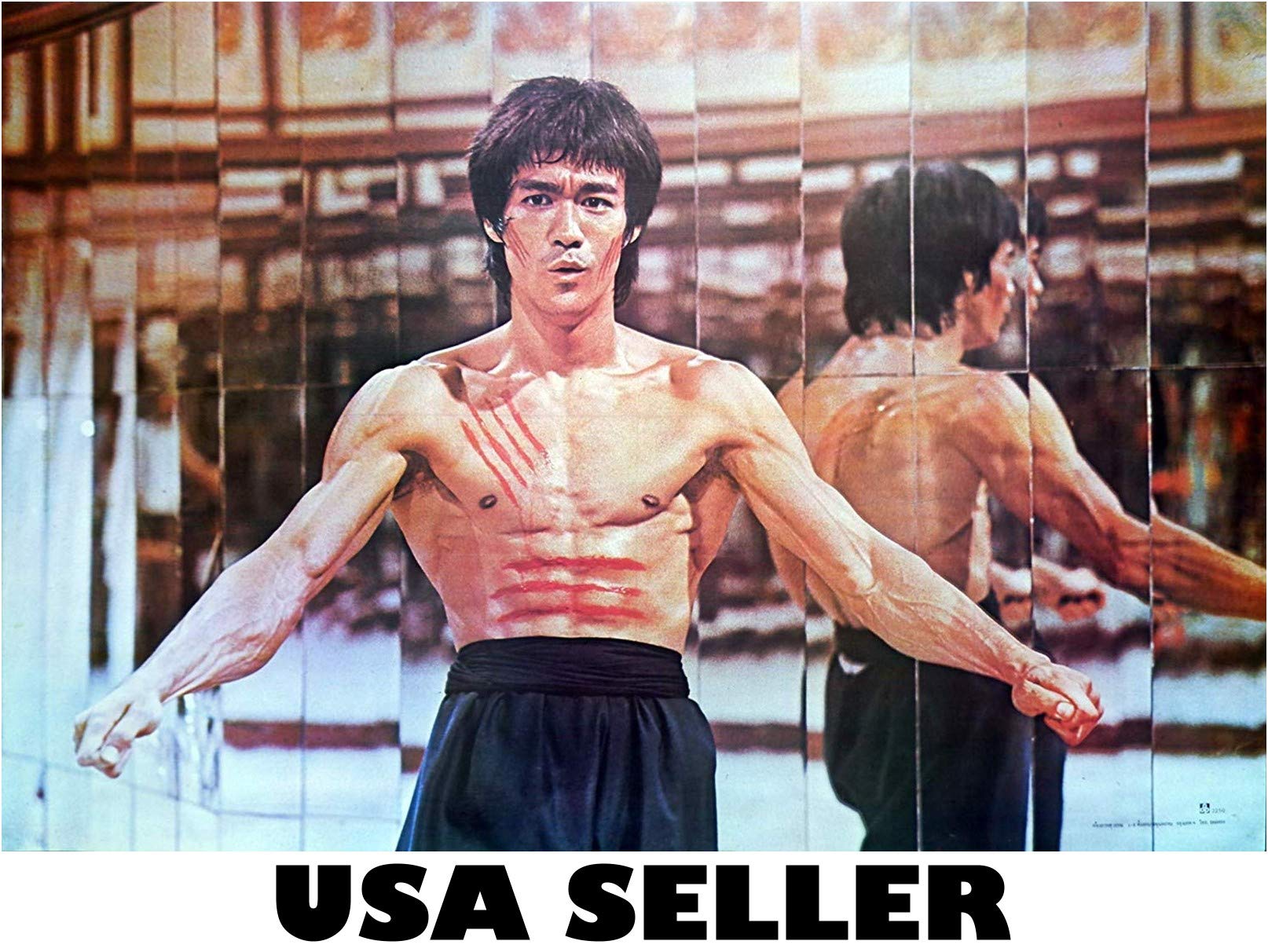 Asian martial arts legend outstretched arms horiz POSTER 31 x 21 karate kung fu master (sent FROM USA in PVC pipe)