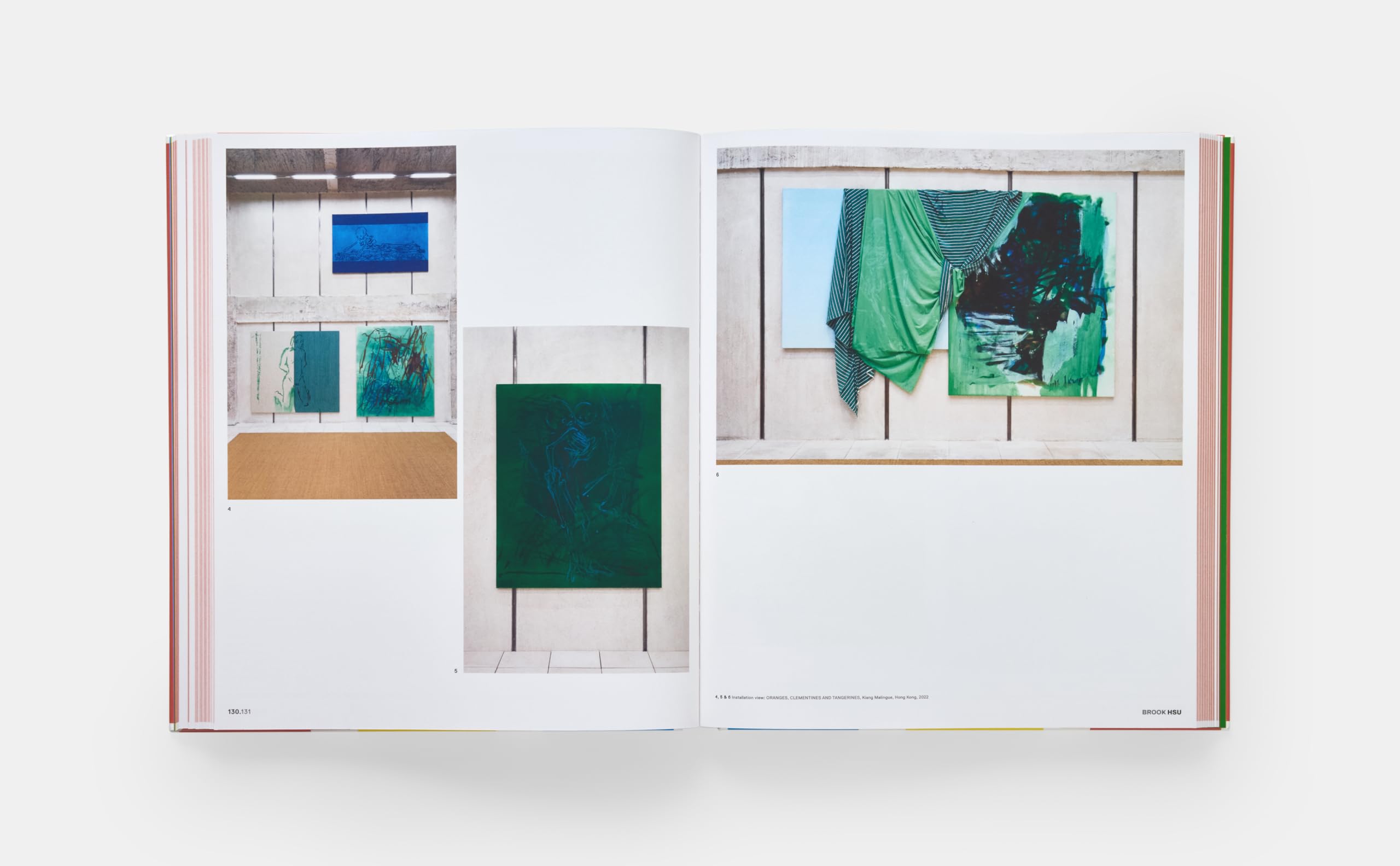 Vitamin P4: New Perspectives in Painting (ART)