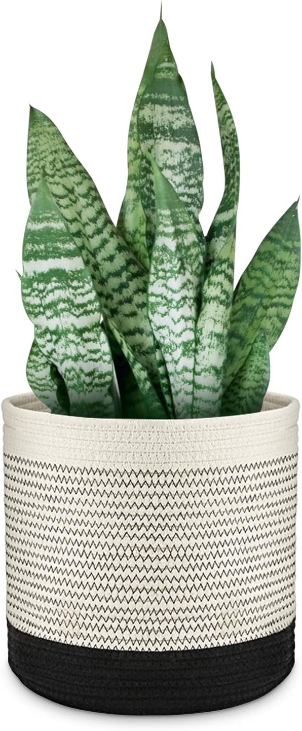One Sight Cotton Rope Plant Basket for 810 inches Flower