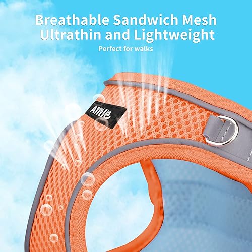 Miniatura 16 de AIITLE Arnés Escalonado para Perro y Juego de Correa - Chaleco Arnés a Prueba de Escape Sin Tirones con Malla Suave y Bandas Reflectantes, Arneses