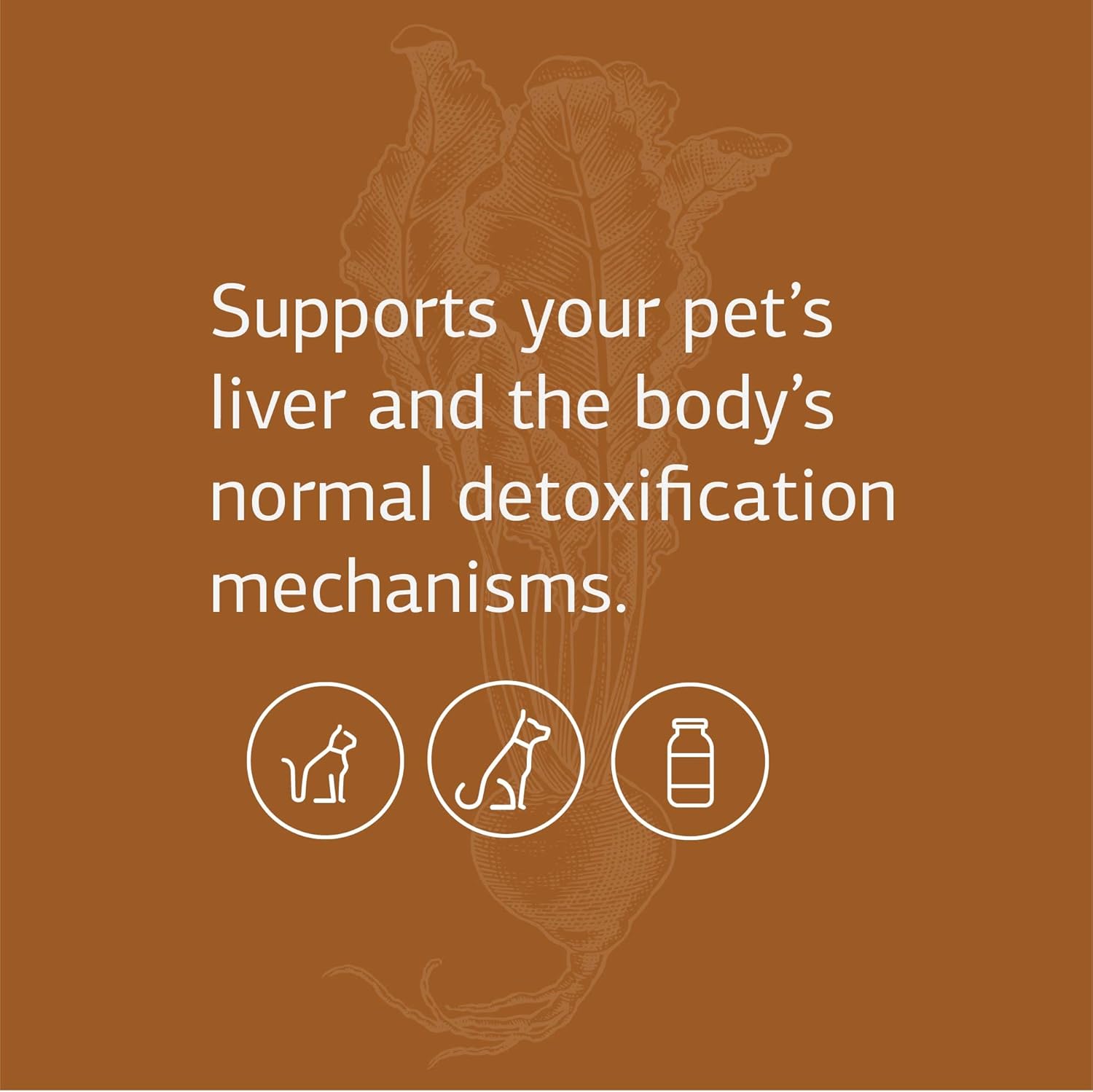 Buy Standard Process VF Antronex for Pets Liver Support and Detox