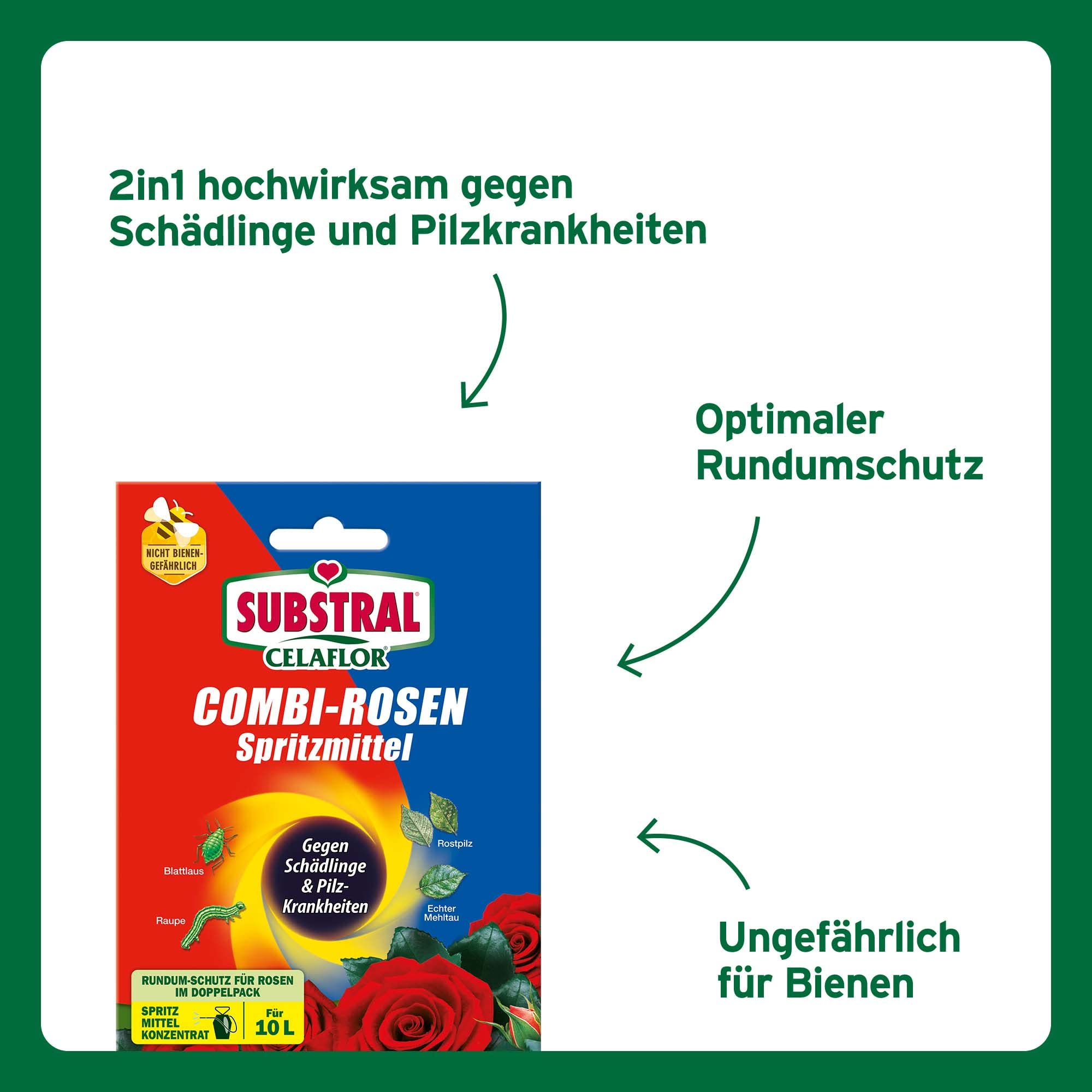 Substral Celaflor Combi-Rosenspritzmittel, 1x15+2x4ml, Rundumschutz für Rosen, gegen Schädlinge und Pilzkrankheiten