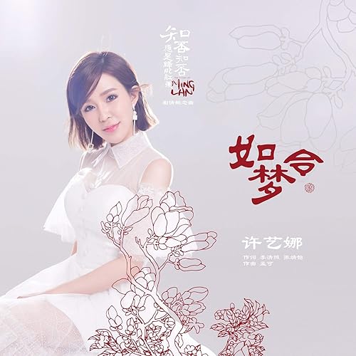 如梦令知否知否应是绿肥红瘦 电视剧剧情概念