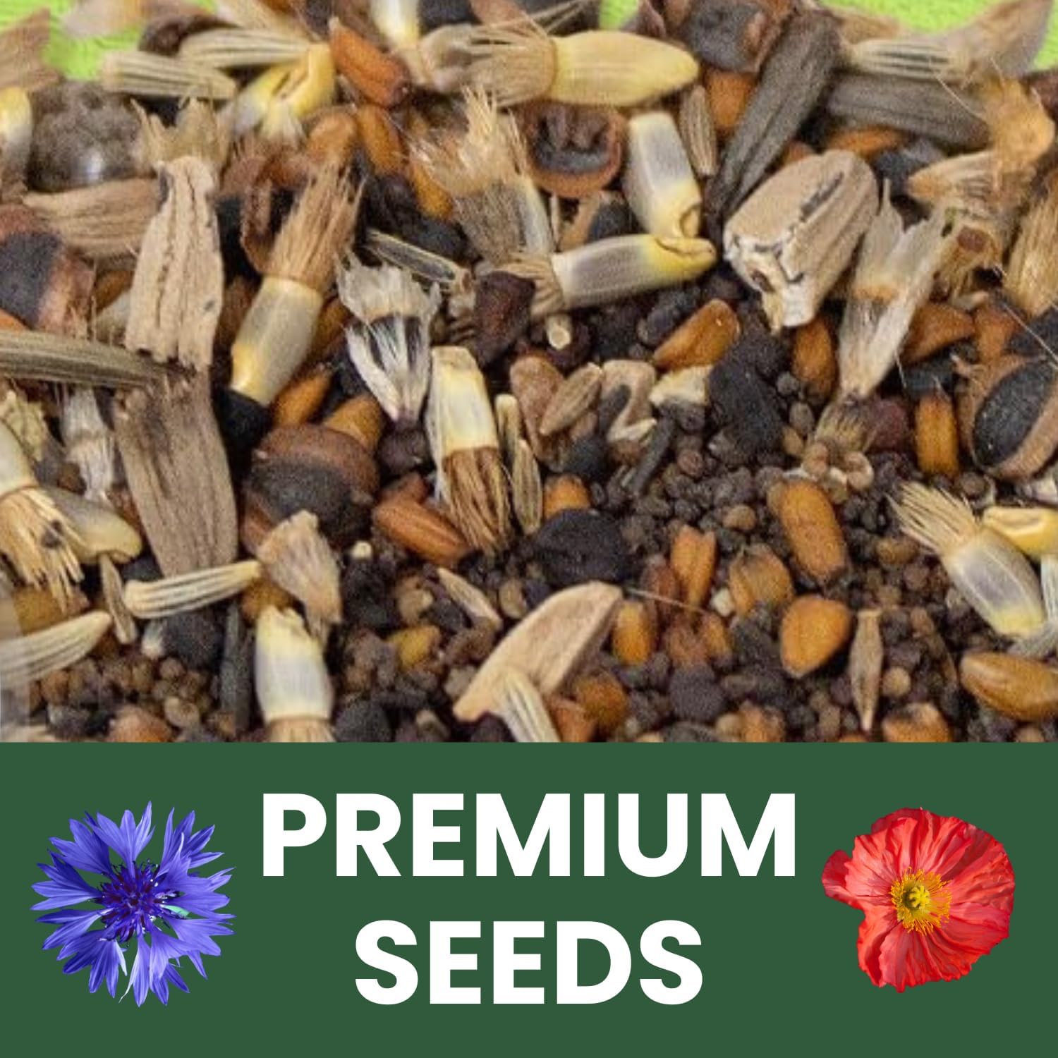 Northeast Natives Mix – 67,000 Seeds for Planting – 2026 Season – 4 Ounce Pouch