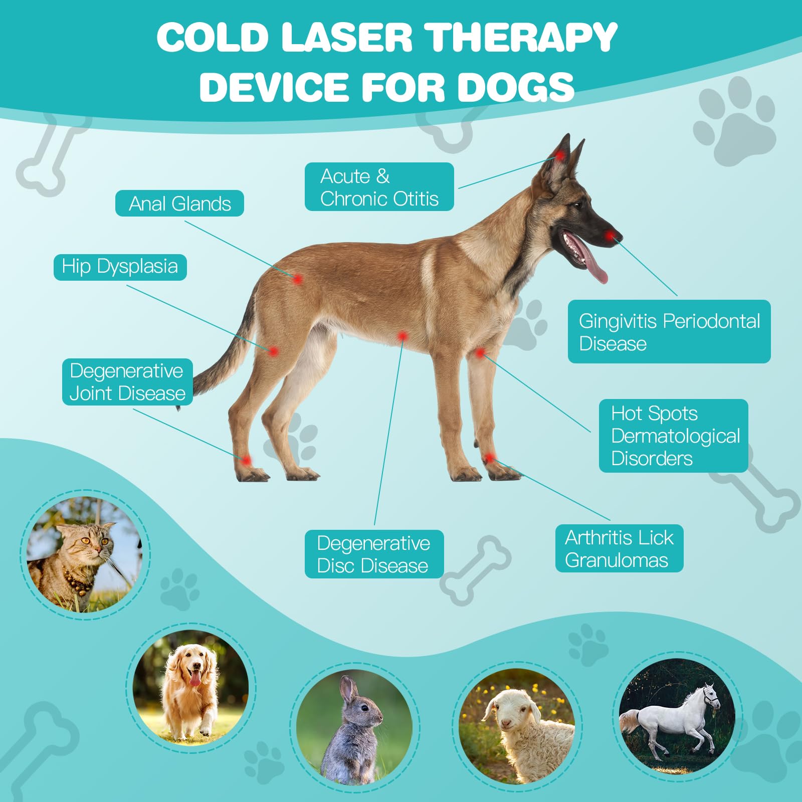 iKeener Haustier/Tierarzt Therapiegerät,Tragbares Rot Lichttherapiegerät mit 18 * 620nm,Kalte Lasertherapie Lindert Gelenkschmerzen Tieren,für Hunde,Katzen,Pferde & Andere (Schwarz)