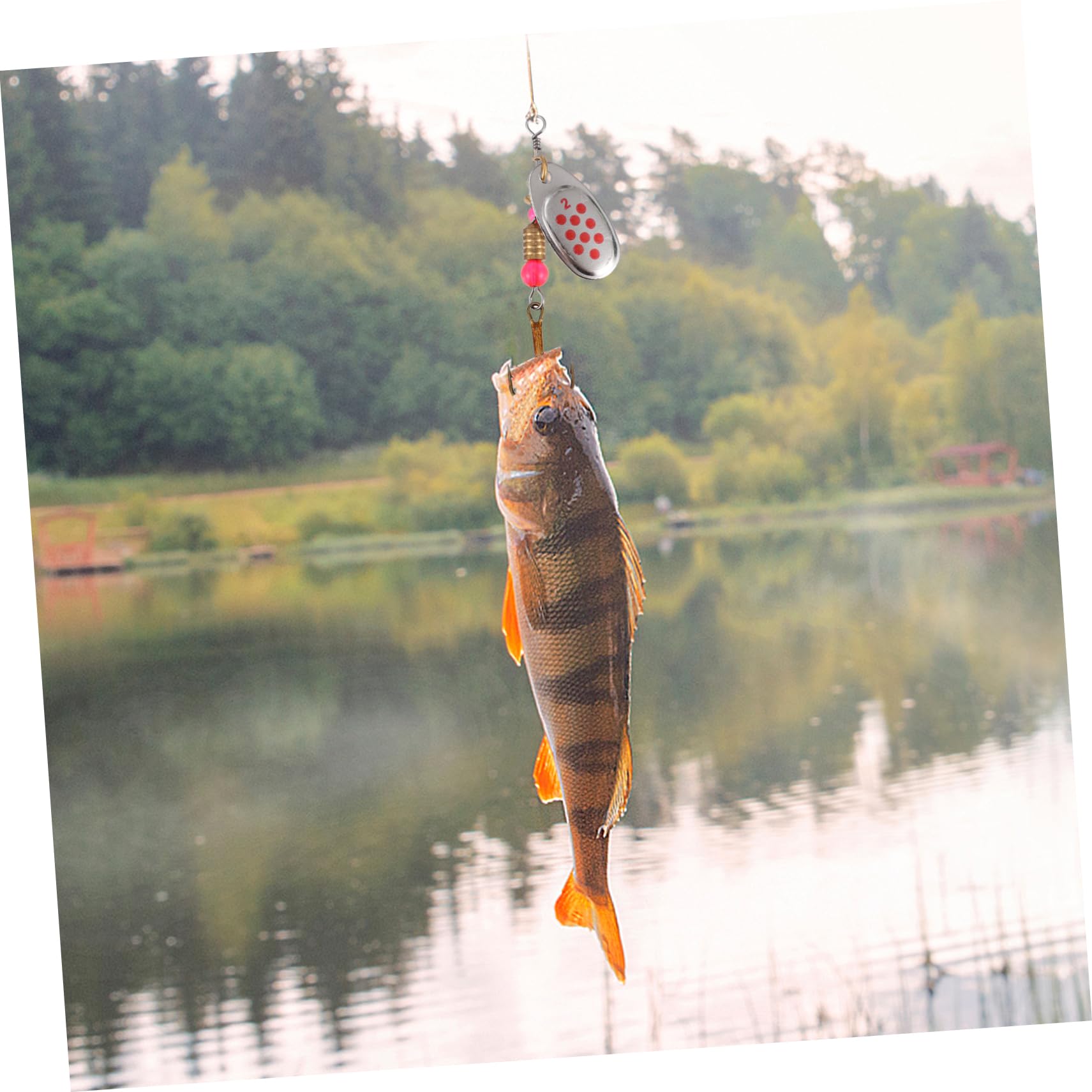 Toddmomy 30piezas Cucharillas De Metal para Pesca De Señuelos Brillantes Caja De Almacenamiento Cebos para Trucha y Lucioperca Accesorios De Pesca Duraderos y Ligeros