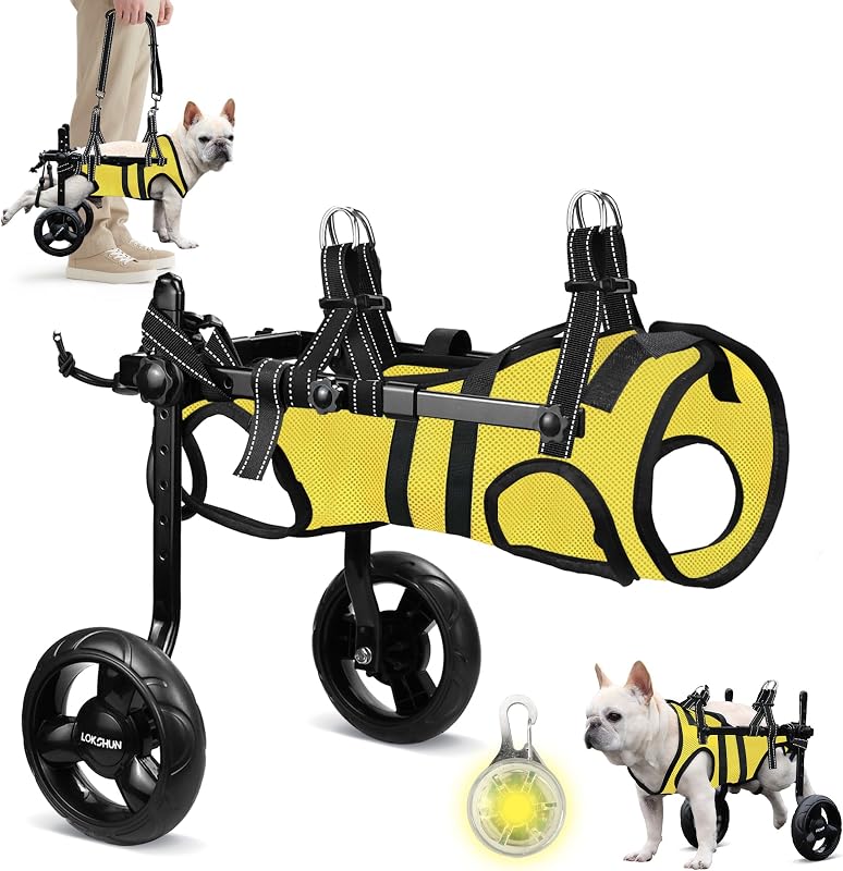 Small Dog Wheelchair for Back Legs, Adjustable Rear Leg Mobility Support for Small Dogs up to 22 lbs, Lightweight Dog Mobility Cart with 2-in-1 Leash, LED Light, Heavy-Duty Wheels (Yellow-XS)