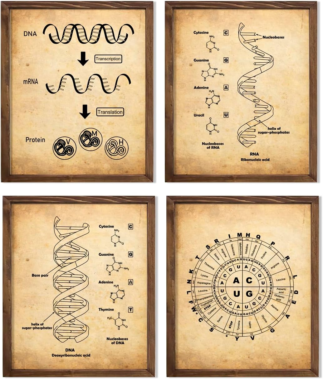 Vintage DNA and RNA Genetic Code Tree of Life Illustration and Gene Expression Art Poster Set for Chemistry Display, Biology Classroom Inspiration, Research Office Hub,Genetic Engineering Corner, Biotech Workshop Accent, Science Lab Technician Pride, Bio Lab Wall, Biologist Teacher Gifts, Chemist Innovation Surprises, Nurse Genomics Honors, Doctor Molecular Keepsakes, Pharmacologist Milestones, Biochemist Presents - 8x10 Unframed Print Set