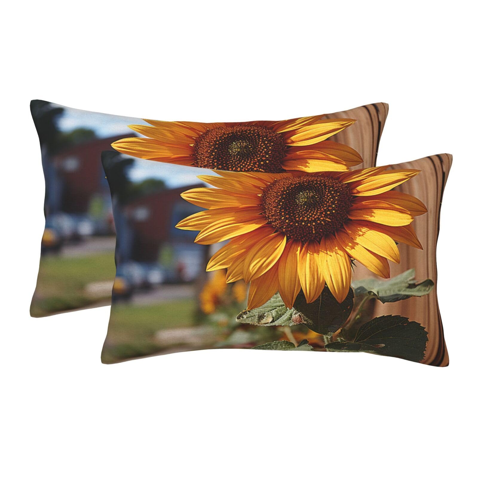 2 Pack Standard Size Pillow Cases for Hair and Skin Soft Breathable Pillow Case Covers with Hidden Zipper Farm Sunflower Pillowcase 20"x30" Pillow Cover for Sleeping Gift
