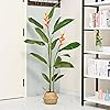 Product Photo 6