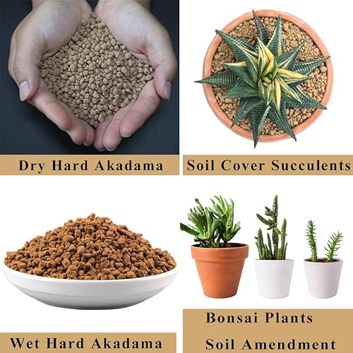 Miniatura 3 de Suelo de Bonsái Akadama Duro de 6 Libras, Grano Pequeño de 3-6mm para Cactus, Suculentas, Enmienda de Suelo para Plantas de Bonsái, Previene el