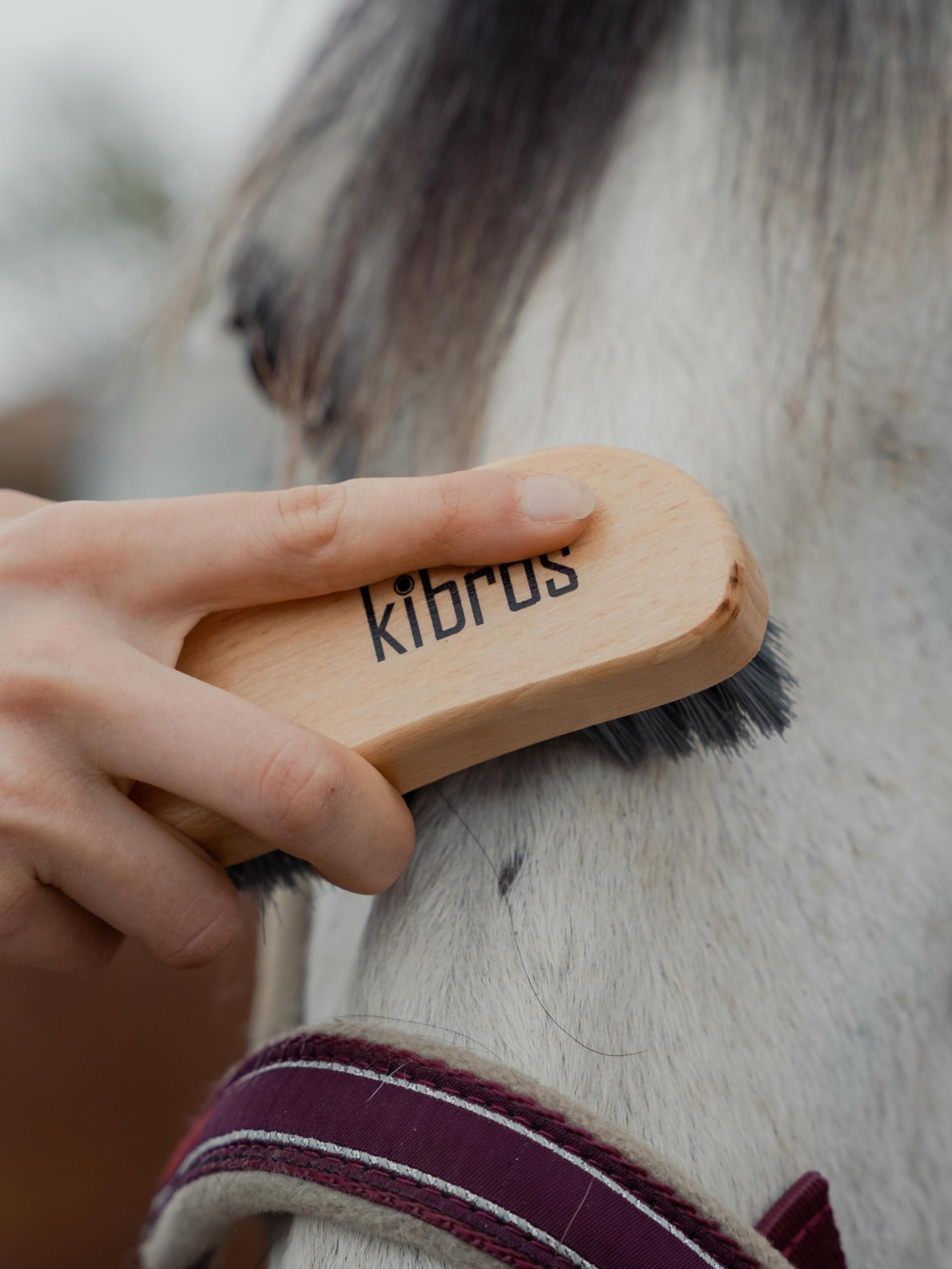 KIBROS LOTEQUIT6 Kit completo per la cura del cavallo | Set di 6 spazzole da equitazione premium per cavalli e pony | Pulizia del corpo, della testa e degli zoccoli | Prodotto in Francia | KIBROS