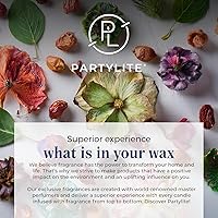 Vista 8 de PartyLite Set de regalo de 12 velas de té universales, aroma a bayas heladas, notas de manzana, arándano, melocotón, fresa, baya, vainilla