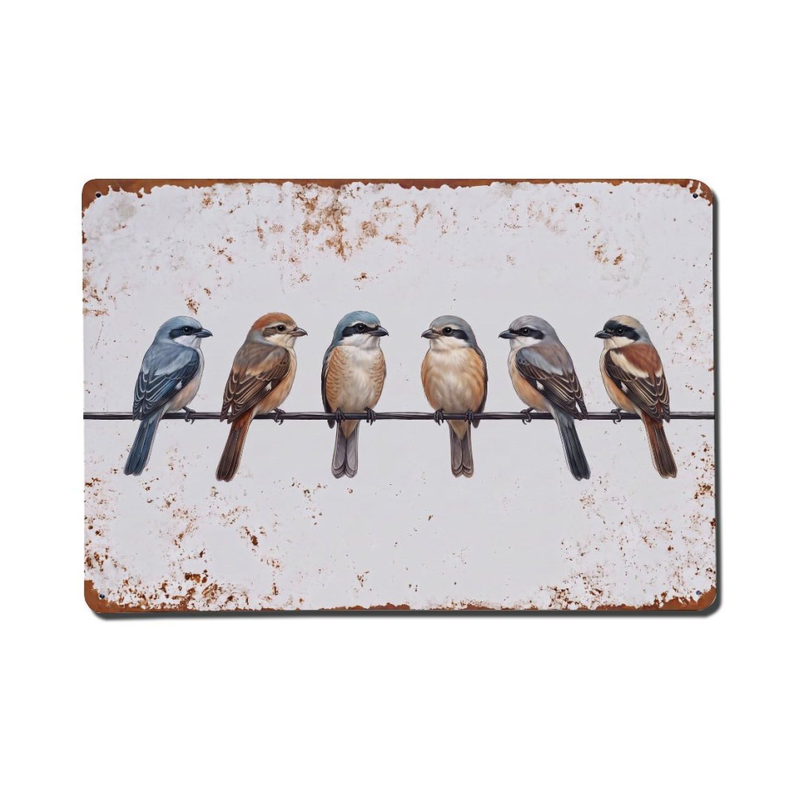 Vintage Retro Birds Shrike Metal Tin Sign